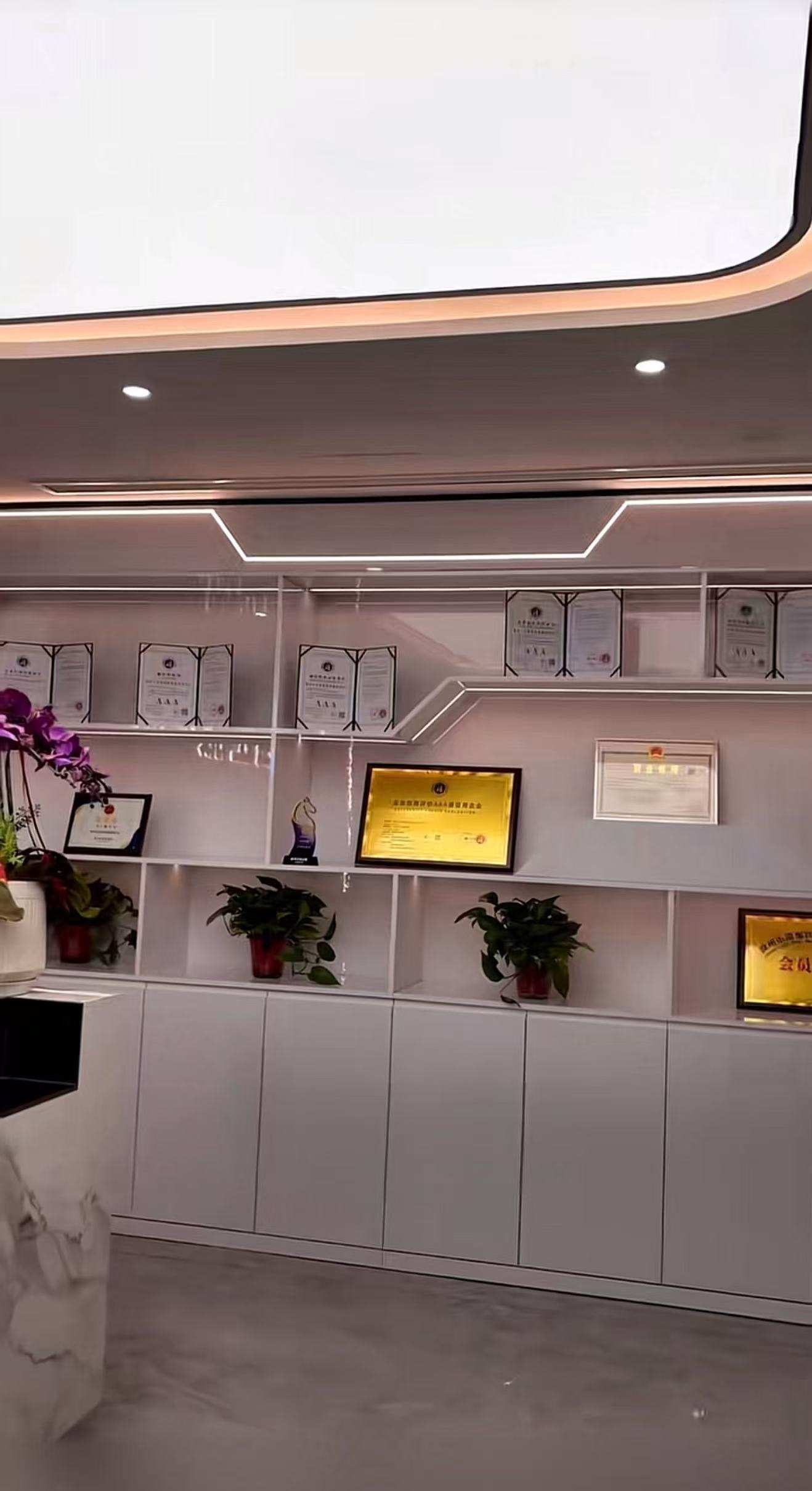 异地升学机构科学选择建议（站在考生 / 家长需求角度）